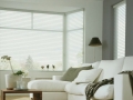 javs_shangri_la_010
